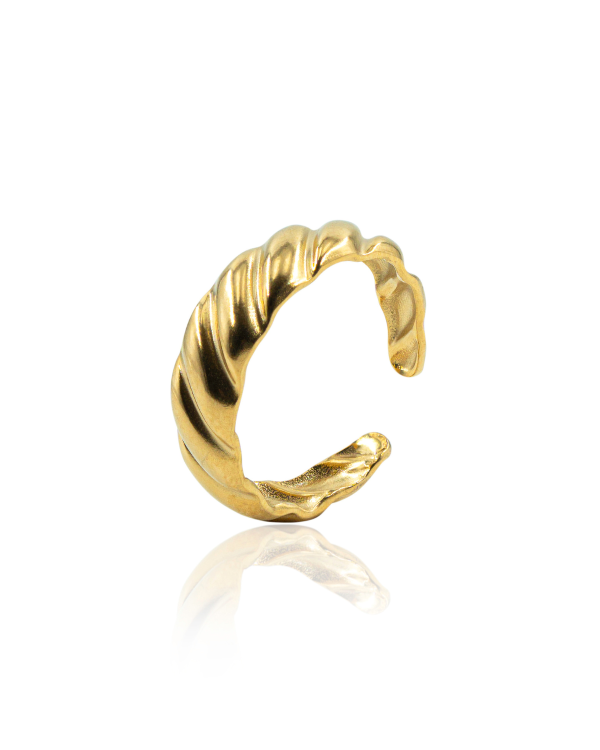 PARIS RING
